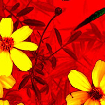 独家货源的免费ddos压力测试平台